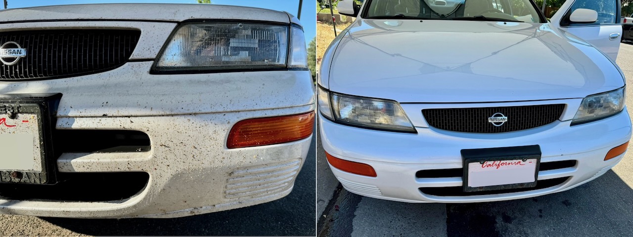 Exterior Wash and Protect